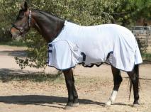 flysheet.jpg