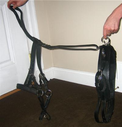 Miniharness2