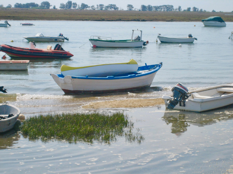 The Horse Studio ~ Blog 4 ~ Is Your Business Beached? Beached Boats