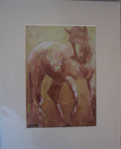 Knabstrupper Horse Print