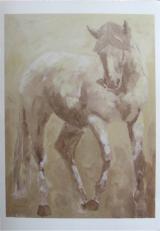 Knabstrupper Horse Card Set