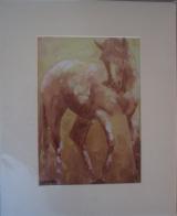 Knabstrupper Horse Print