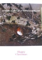 Christmas Card Robin in Snow