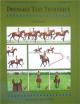 Dressage Test Technique