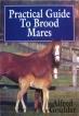 Practical Guide to Brood Mares