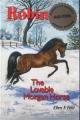 Robin The Lovable Morgan Horse
